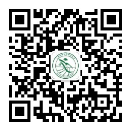 欧洲五大足球联赛研究生会