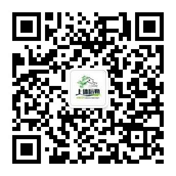 欧洲五大足球联赛后勤处